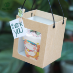 Set quà tặng sen đá - Kèm túi