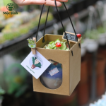 Set quà tặng sen đá - Kèm túi