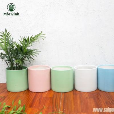 Chậu Trụ Trơn size 11 x 11