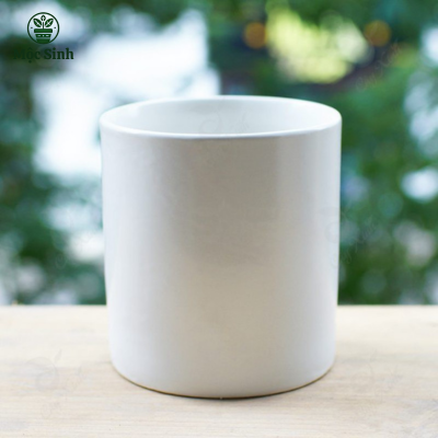 Chậu Trụ Trơn size 11 x 11