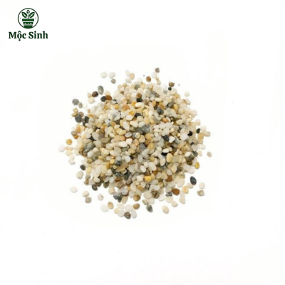 Sỏi Trang Trí (250gr)
